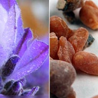 lavender frankincense wholesale facial mud