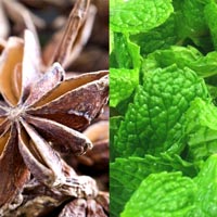 star anise spearmint wholesale bath and body oil