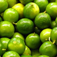 Lime essential oil