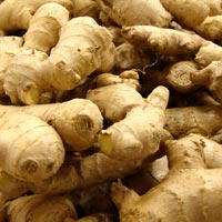 ginger essential oil