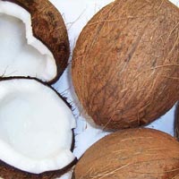 wholesale virgin coconut oil