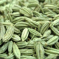 fennel seed essential oil